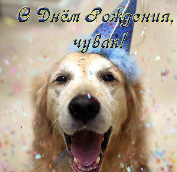 Скачать бесплатно Прикольная открытка с днем рождения подростку мальчику на сайте WishesCards.ru
