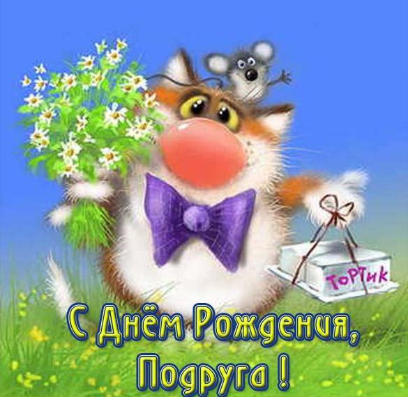 Скачать бесплатно Прикольная открытка с днем рождения подруге с юмором на сайте WishesCards.ru