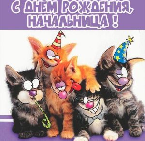 Скачать бесплатно Прикольная открытка с днем рождения руководителю женщине на сайте WishesCards.ru