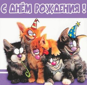 Скачать бесплатно Прикольная открытка с днем рождения с котятами на сайте WishesCards.ru