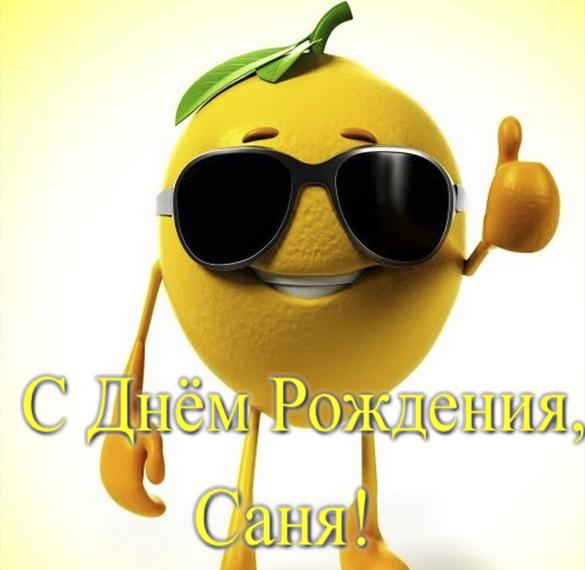 Скачать бесплатно Прикольная открытка с днем рождения Саня на сайте WishesCards.ru