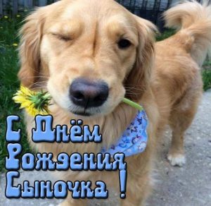 Скачать бесплатно Прикольная открытка с днем рождения сына подруги на сайте WishesCards.ru