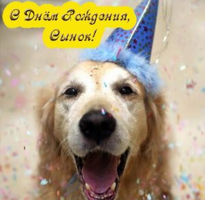 Скачать бесплатно Прикольная открытка с днем рождения сынок на сайте WishesCards.ru