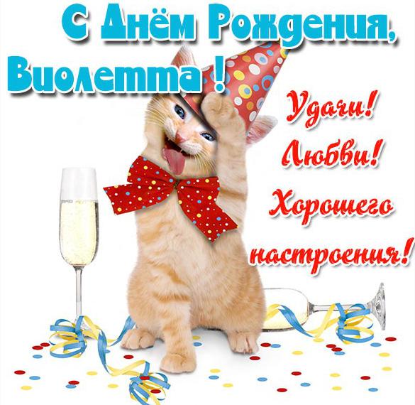 Скачать бесплатно Прикольная открытка с днем рождения Виолетта на сайте WishesCards.ru