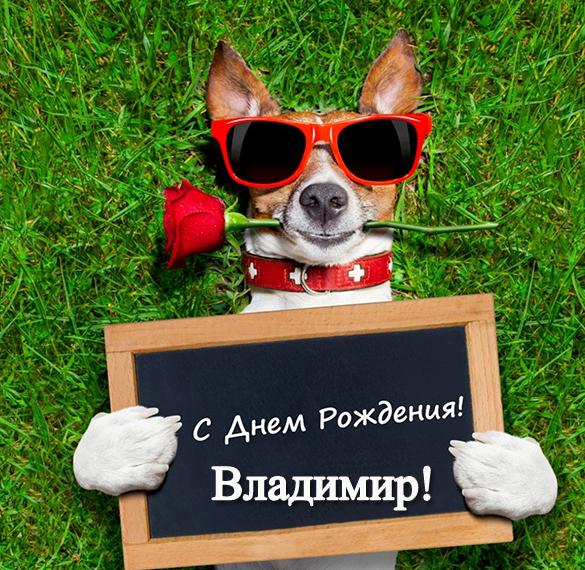 Скачать бесплатно Прикольная открытка с днем рождения Владимиру на сайте WishesCards.ru