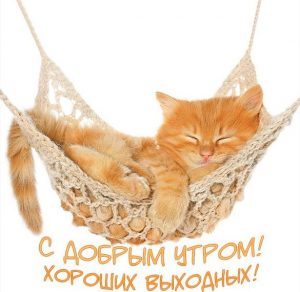 Скачать бесплатно Прикольная открытка с добрым утром хороших выходных на сайте WishesCards.ru