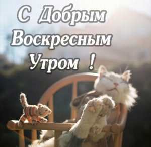 Скачать бесплатно Прикольная открытка с добрым воскресным утром на сайте WishesCards.ru