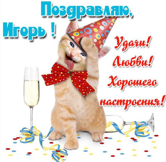 Скачать бесплатно Прикольная открытка с именем Игорь на сайте WishesCards.ru