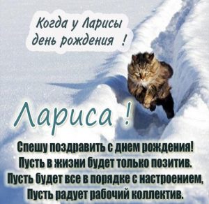 Скачать бесплатно Прикольная открытка с поздравлением Ларисе с днем рождения на сайте WishesCards.ru