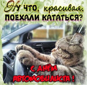 Скачать бесплатно Прикольная открытка с поздравлением на день водителя на сайте WishesCards.ru