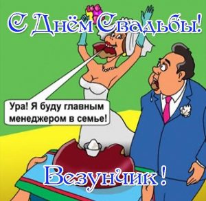Скачать бесплатно Прикольная открытка с поздравлением со свадьбой на сайте WishesCards.ru
