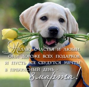 Скачать бесплатно Прикольная открытка с праздником на день 8 марта на сайте WishesCards.ru