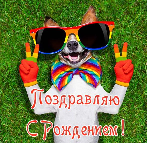 Скачать бесплатно Прикольная открытка с рождением на сайте WishesCards.ru