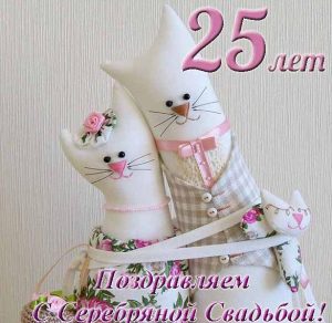 Скачать бесплатно Прикольная открытка с серебряной свадьбой на 25 лет на сайте WishesCards.ru