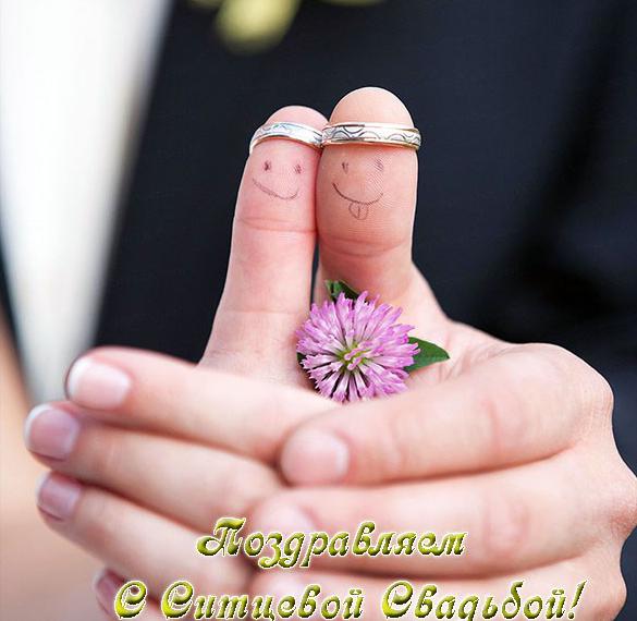 Скачать бесплатно Прикольная открытка с ситцевой свадьбой на сайте WishesCards.ru