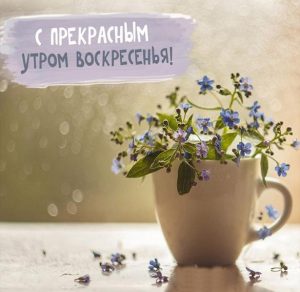 Скачать бесплатно Прикольная открытка с воскресным утром на сайте WishesCards.ru