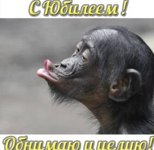 Скачать бесплатно Прикольная открытка с юбилеем на 30 лет девушке на сайте WishesCards.ru