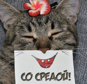 Скачать бесплатно Прикольная открытка со средой на сайте WishesCards.ru