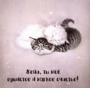 Скачать бесплатно Прикольная открытка жене на сайте WishesCards.ru