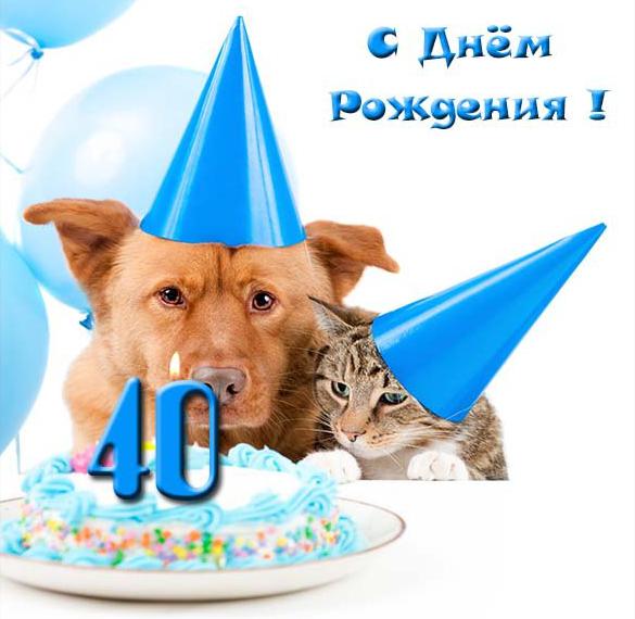 Скачать бесплатно Прикольная открытка женщине на 40 лет на сайте WishesCards.ru