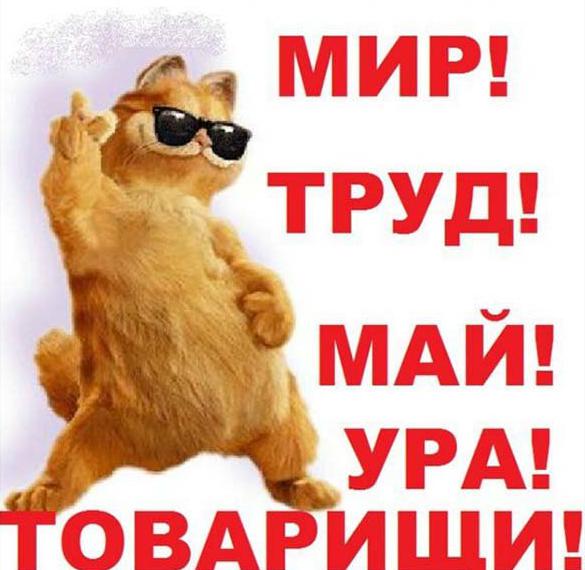 Скачать бесплатно Прикольная поздравительная открытка с 1 мая на сайте WishesCards.ru