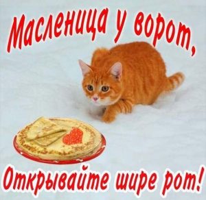 Скачать бесплатно Прикольная поздравительная открытка с днем Масленицы на сайте WishesCards.ru