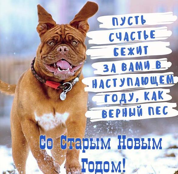 Скачать бесплатно Прикольная поздравительная открытка со Старым Новым Годом на сайте WishesCards.ru