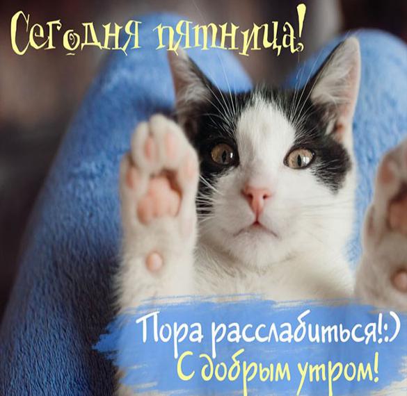 Скачать бесплатно Прикольная позитивная картинка доброе утро с пятницей на сайте WishesCards.ru