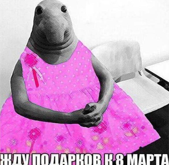 Скачать бесплатно Прикольная смешная фото открытка с 8 марта на сайте WishesCards.ru