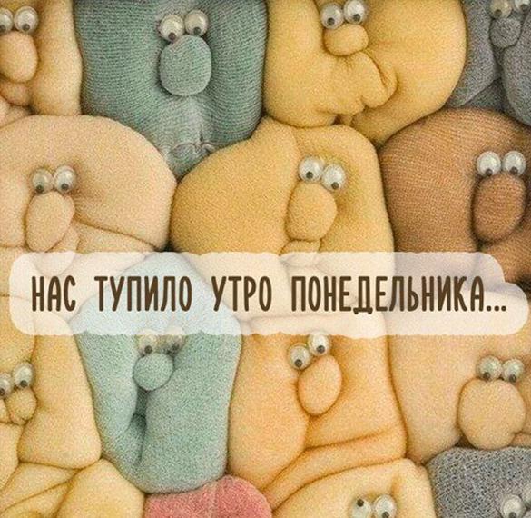 Скачать бесплатно Прикольная смешная картинка доброе утро понедельника на сайте WishesCards.ru