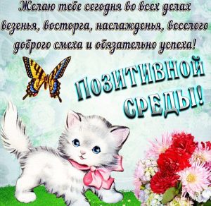 Скачать бесплатно Прикольная смешная картинка про среду с поздравлением на сайте WishesCards.ru