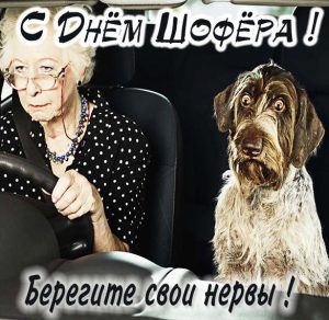 Скачать бесплатно Прикольная смешная картинка с днем шофера на сайте WishesCards.ru