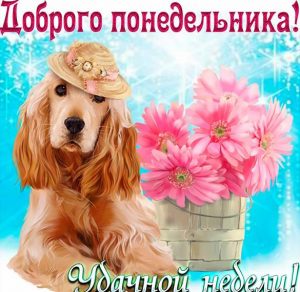 Скачать бесплатно Прикольная смешная картинка с надписью доброго понедельника на сайте WishesCards.ru