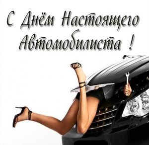 Скачать бесплатно Прикольная смешная открытка с днем автомобилиста на сайте WishesCards.ru