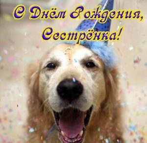 Скачать бесплатно Прикольная смешная открытка с днем рождения сестре на сайте WishesCards.ru