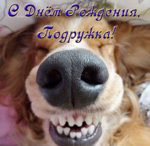 Скачать бесплатно Прикольная веселая открытка с днем рождения подруге на сайте WishesCards.ru