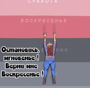 Скачать бесплатно Прикольная воскресная картинка на сайте WishesCards.ru