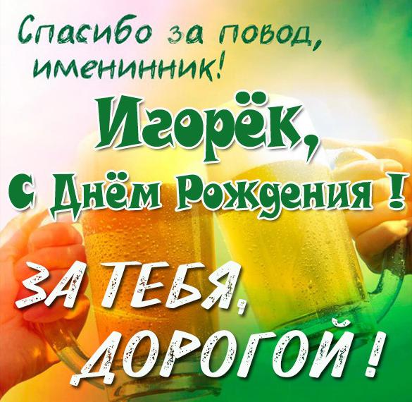 Скачать бесплатно Прикольная взрослая картинка с днем рождения Игорь на сайте WishesCards.ru