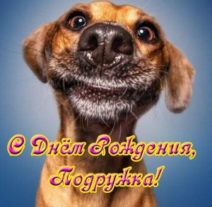 Скачать бесплатно Прикольная юморная открытка с днем рождения подруге на сайте WishesCards.ru