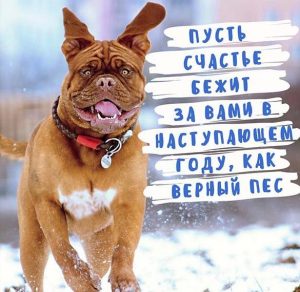 Скачать бесплатно Прикольное фото новый год на сайте WishesCards.ru