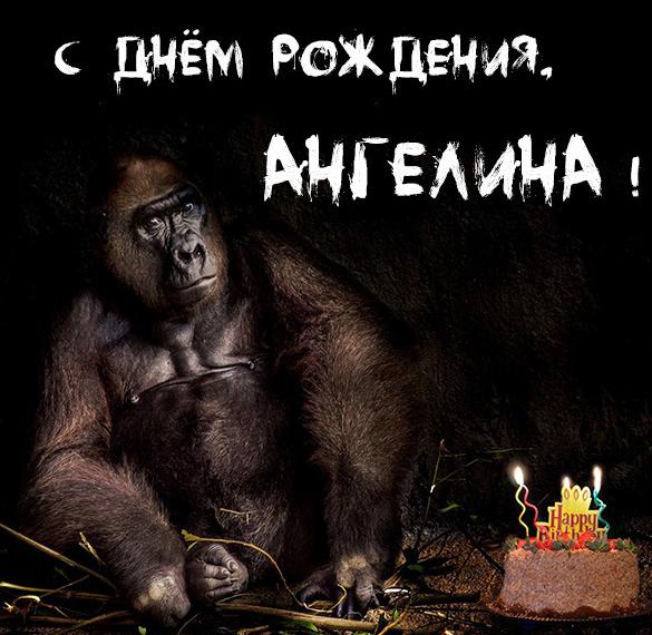 Скачать бесплатно Прикольное фото с днем рождения Ангелина на сайте WishesCards.ru