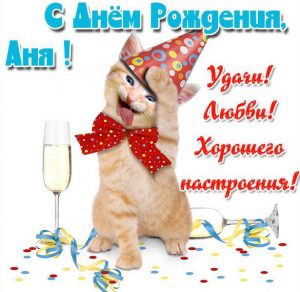 Скачать бесплатно Прикольное фото с днем рождения Аня на сайте WishesCards.ru