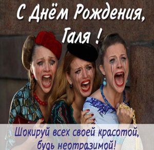 Скачать бесплатно Прикольное фото с днем рождения Галя на сайте WishesCards.ru