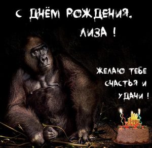 Скачать бесплатно Прикольное фото с днем рождения Лиза на сайте WishesCards.ru