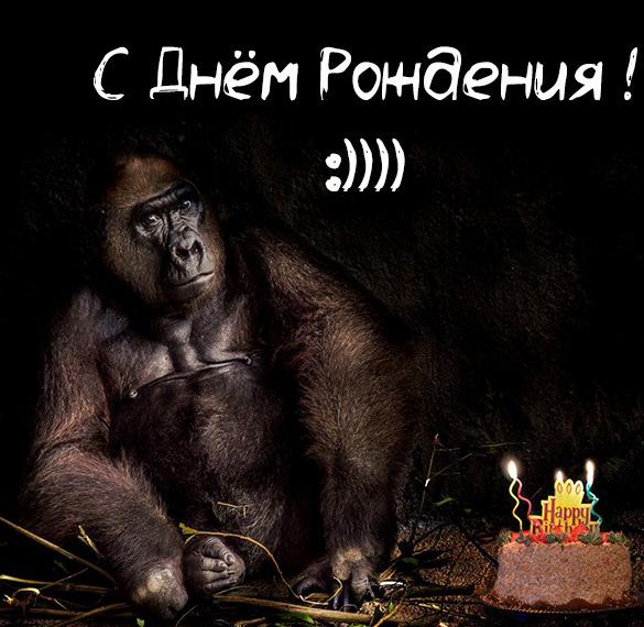 Скачать бесплатно Прикольное фото с днем рождения однокласснице на сайте WishesCards.ru