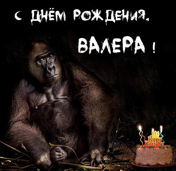 Скачать бесплатно Прикольное фото с днем рождения Валера на сайте WishesCards.ru
