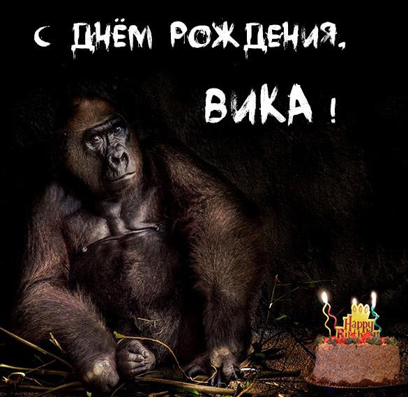 Скачать бесплатно Прикольное фото с днем рождения Вика на сайте WishesCards.ru