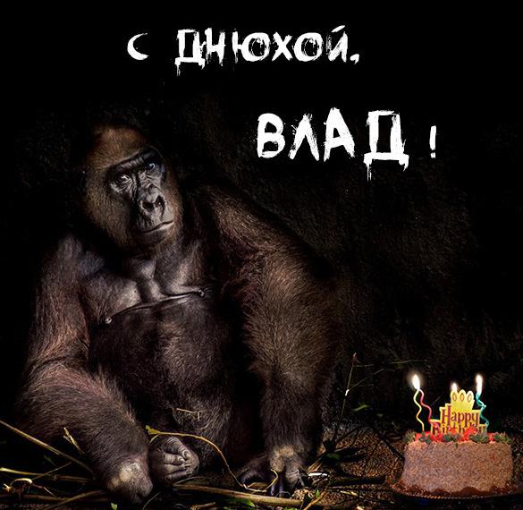 Скачать бесплатно Прикольное фото с днем рождения Влад на сайте WishesCards.ru