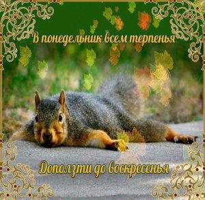 Скачать бесплатно Прикольное поздравление с понедельником в открытке на сайте WishesCards.ru