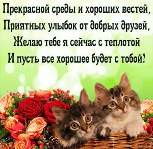 Скачать бесплатно Прикольное пожелание хорошей среды в картинке на сайте WishesCards.ru